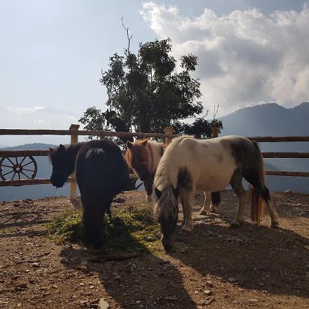 Luech Da Boerz Διαμέρισμα Antermoia Εξωτερικό φωτογραφία